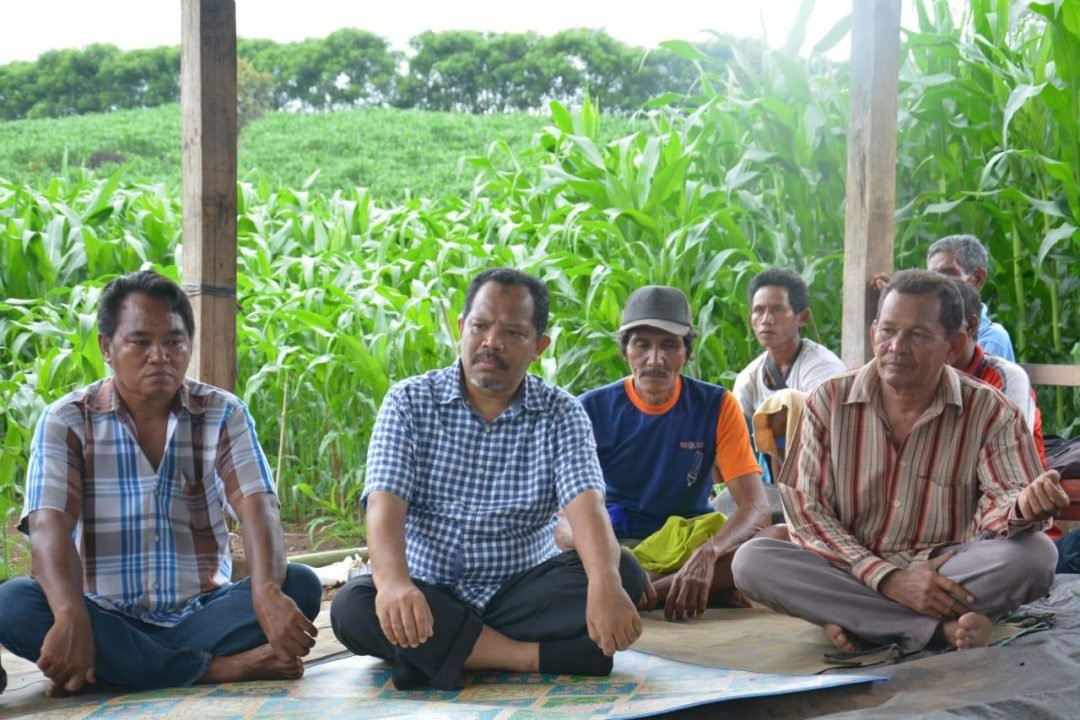 Ket.Foto: Johan Rosihan dengan serius mendengarkan keluh kesah masyarakat petani penggarap jagung di Kecamatan Empang, Kabupatan Sumbawa (HarianNusa.com)