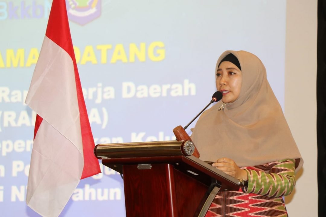 Wakil Gubernur NTB, Dr. Hj. Sitti Rohmi Djalillah saat membuka Rakerda BKKBN tahun 2019. (istimewa)