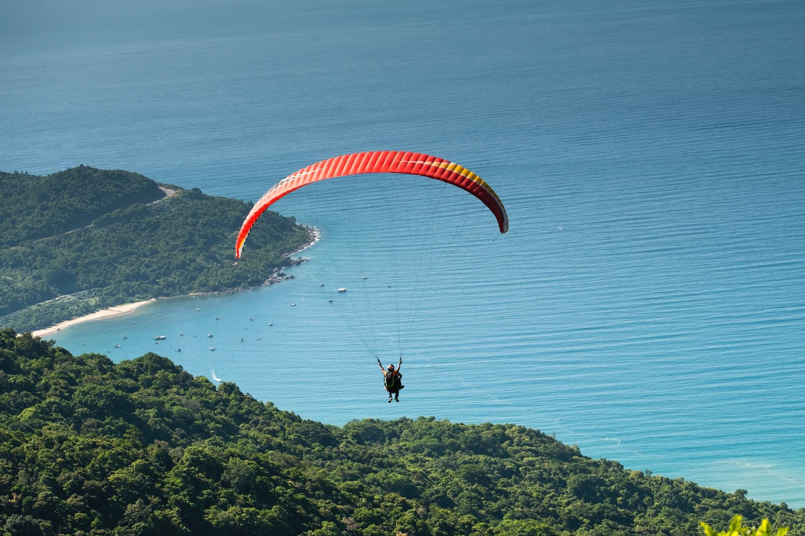 photo of person paragliding over forest