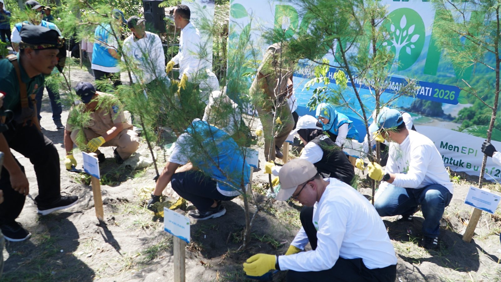 PLN Perkuat Komitmen Pelestarian Lingkungan melalui Penanaman 2.500 Pohon di Pesisir Pantai Induk
