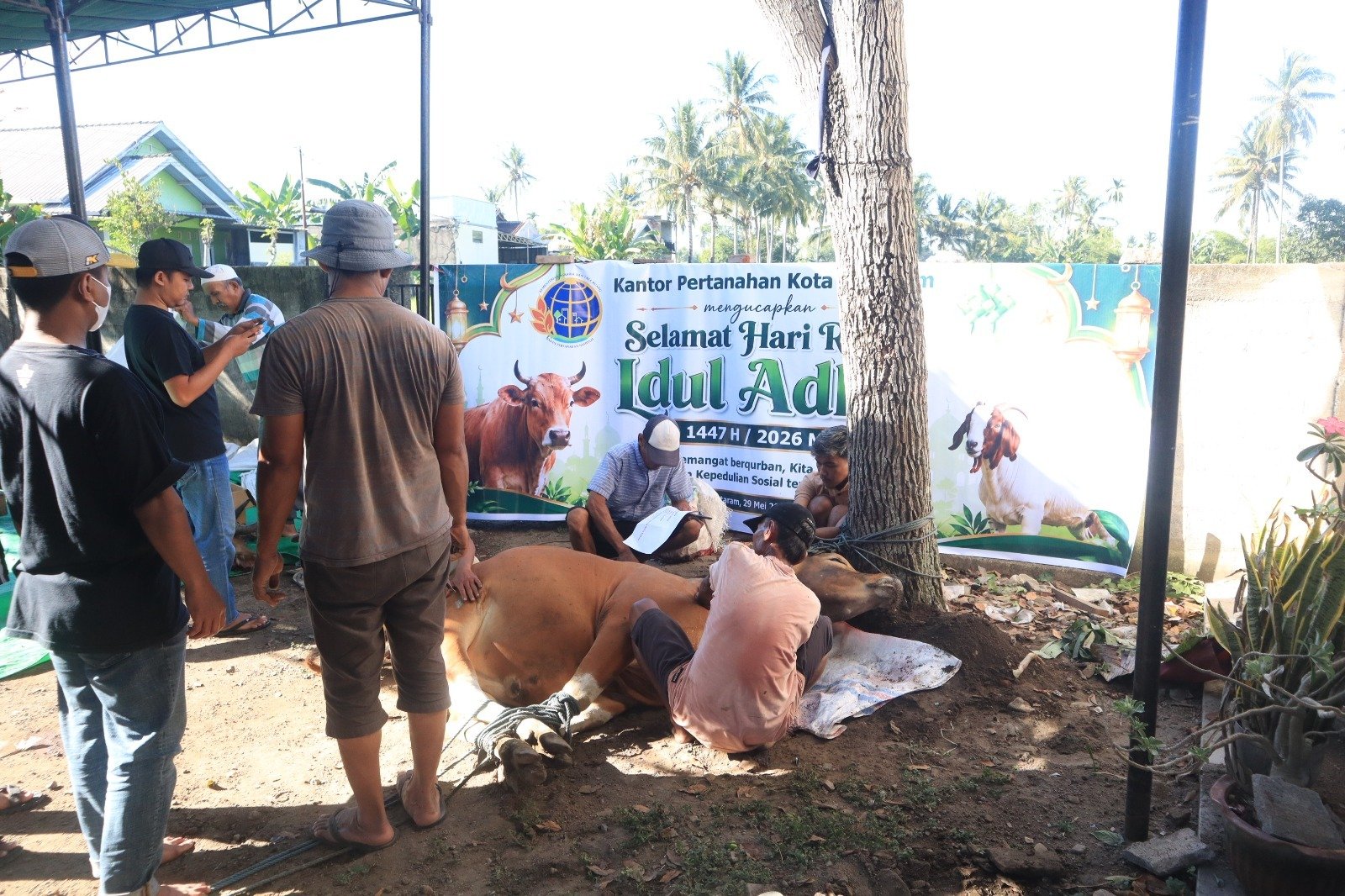 Kantor Pertanahan Kota Mataram Berkurban : Wujud Solidaritas dan Kepedulian Sosial