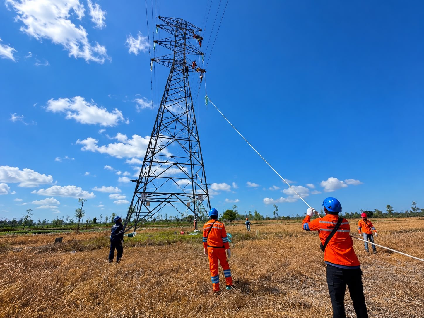 PLN UIW NTB Perkuat Keandalan Listrik Melalui Pemeliharaan Tanpa Padam