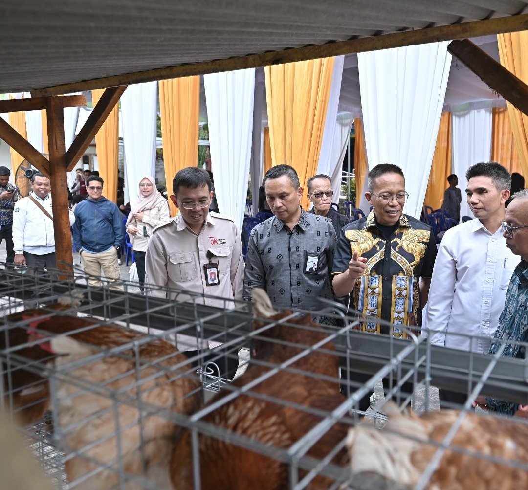Dukung Program Desa Berdaya, Bank NTB Syariah Salurkan Bantuan Budidaya Ayam Petelur untuk Masyarakat Desa Lendang Nangka Utara
